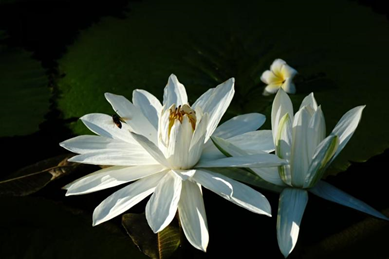 BB电子游戏(中国集团)官方网站